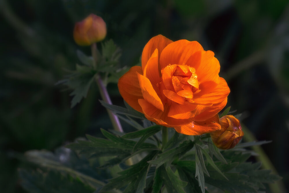 Photograph by Юдинских Марина