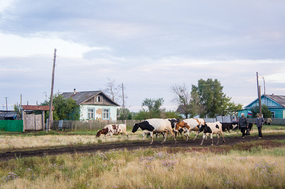 Photograph by Ольга Белопухова