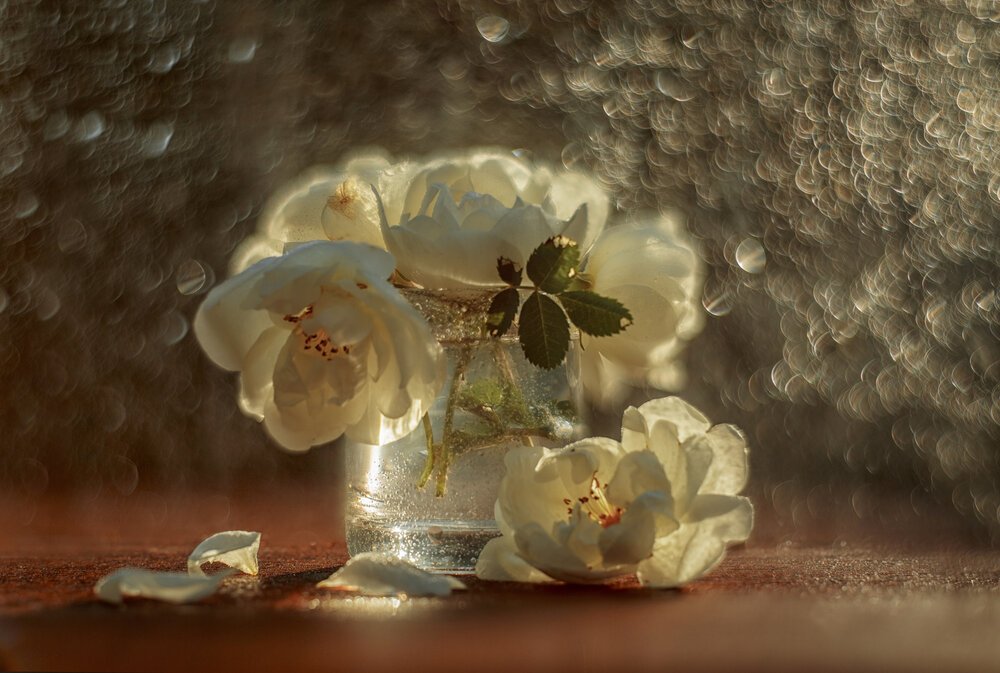 Photograph by Онучина Юлия
