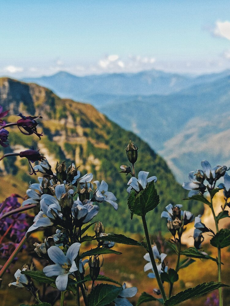 Photograph by Тимур Быков