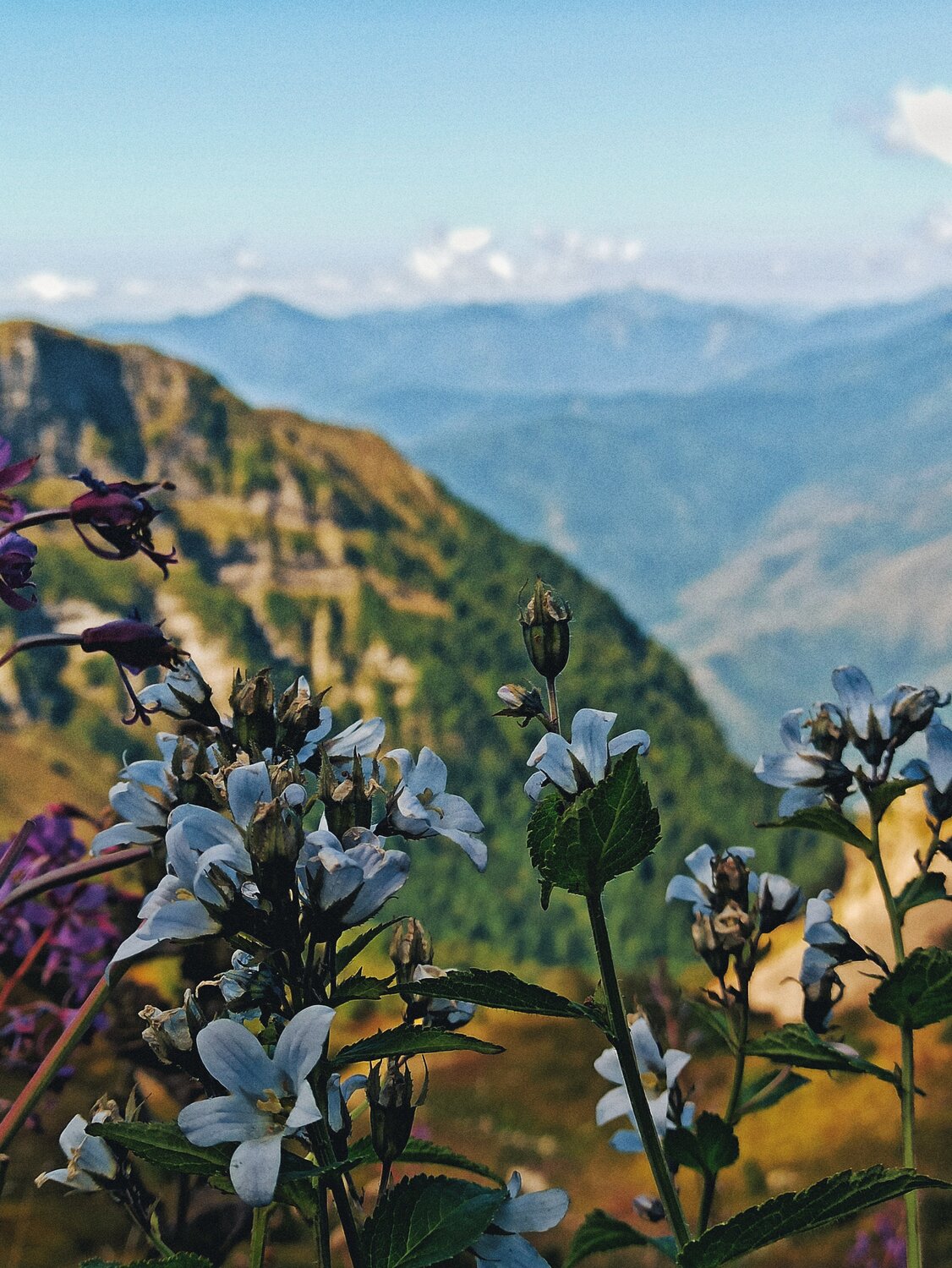 Фотография #13864764