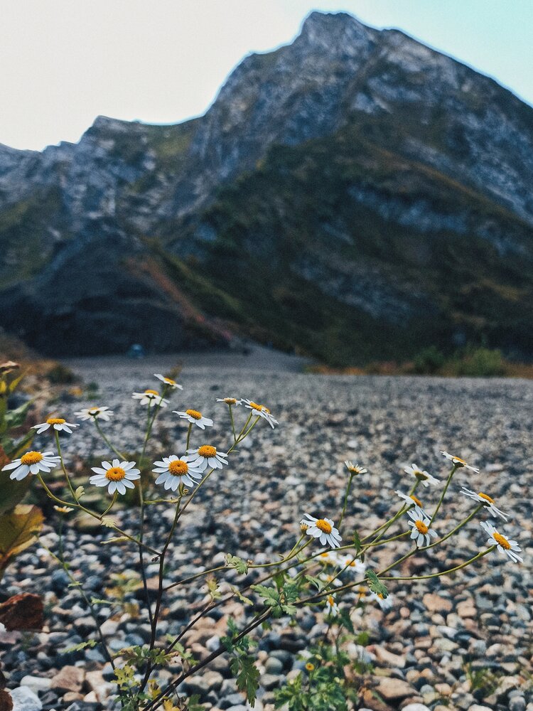 Photograph by Тимур Быков