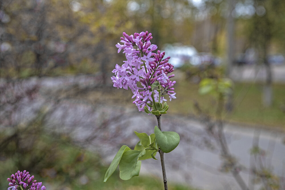 Photograph by Любовь Перевозникова
