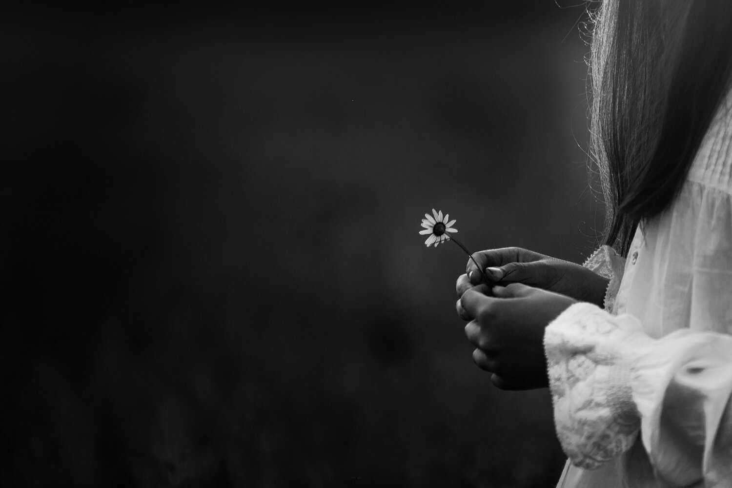 Photo #13864848