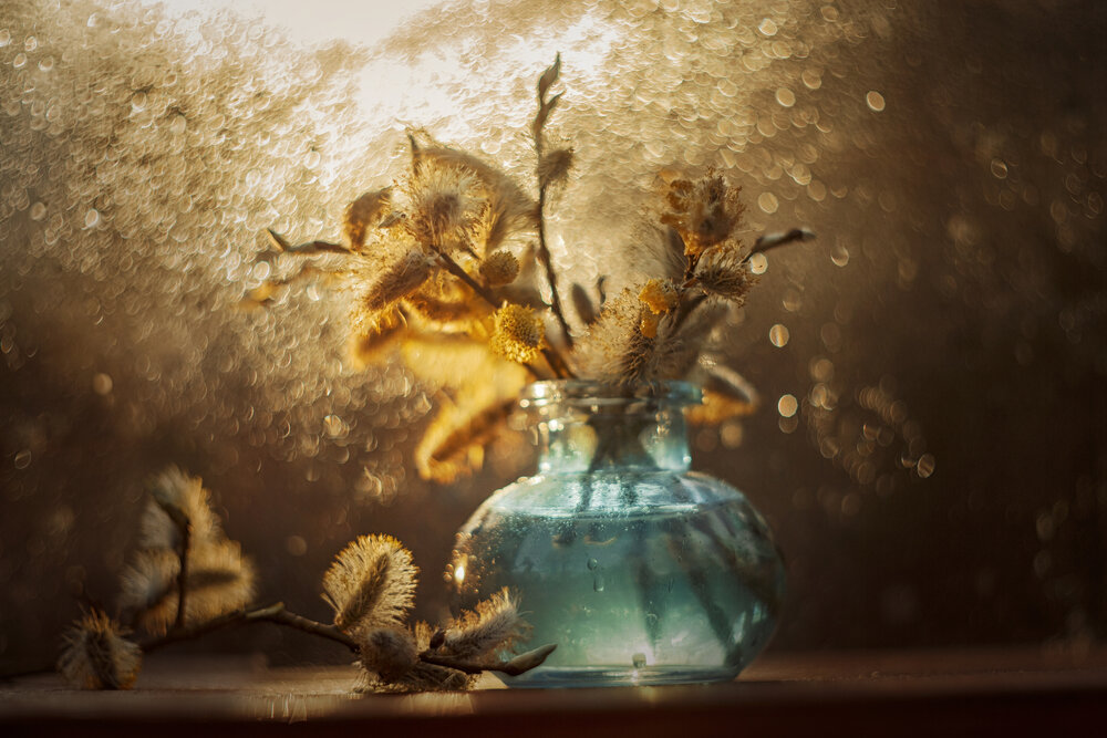 Photograph by Онучина Юлия