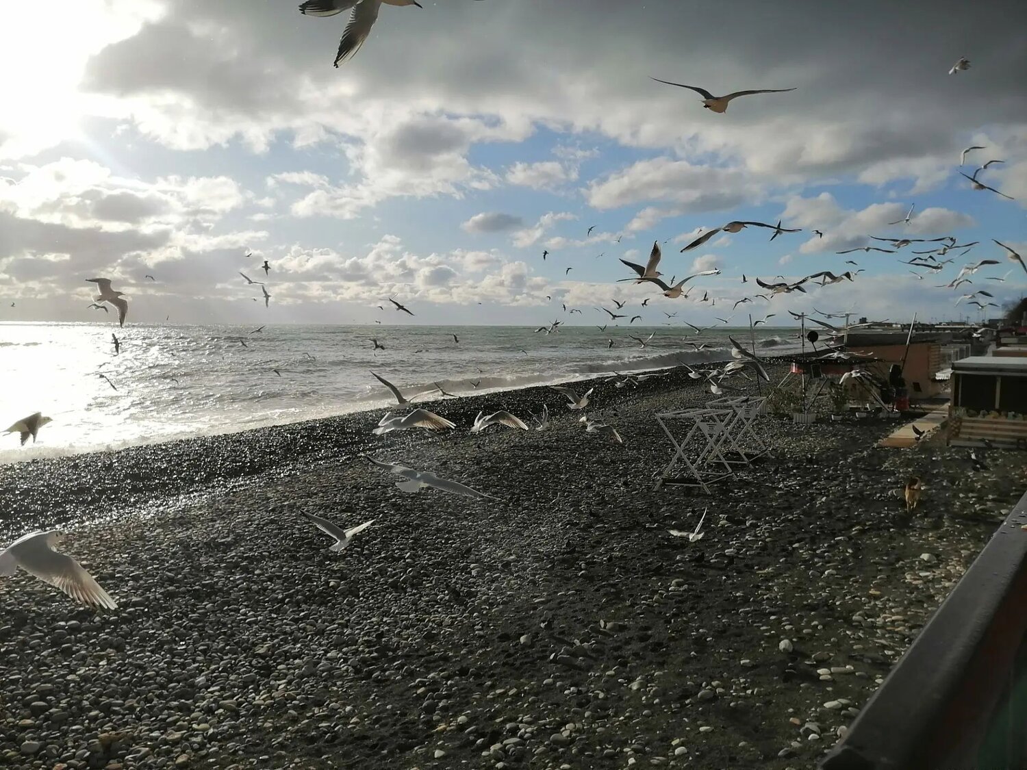 Photo #13864909
