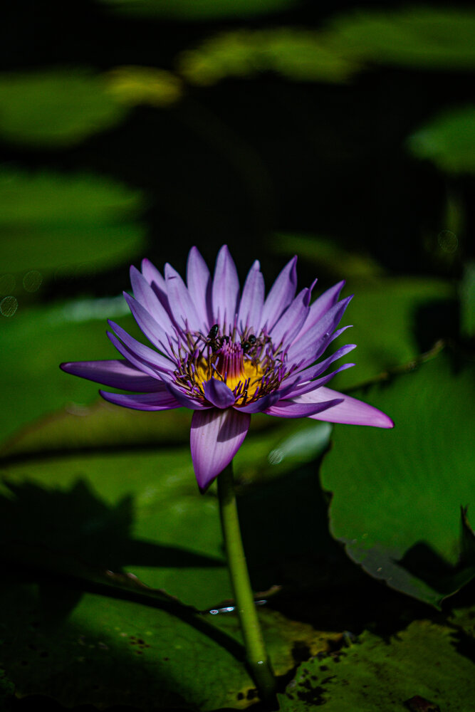 Photograph by Алексей Коробов