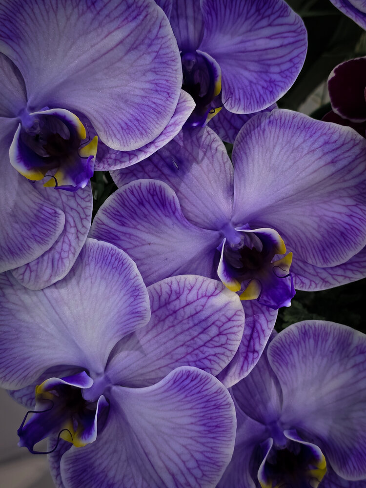 Photograph by Ирина Хлебникова