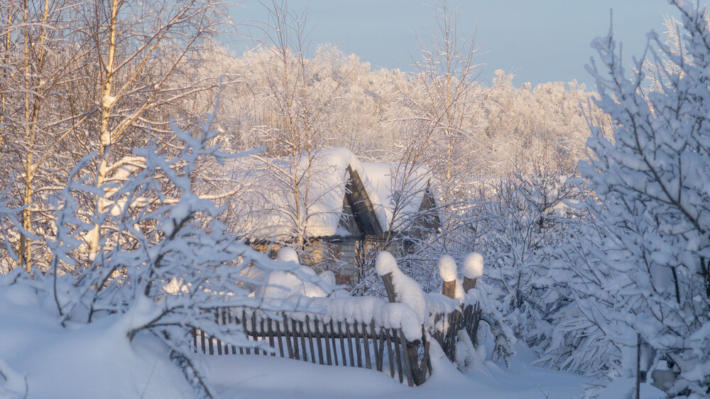 Photograph by Denis Romanov