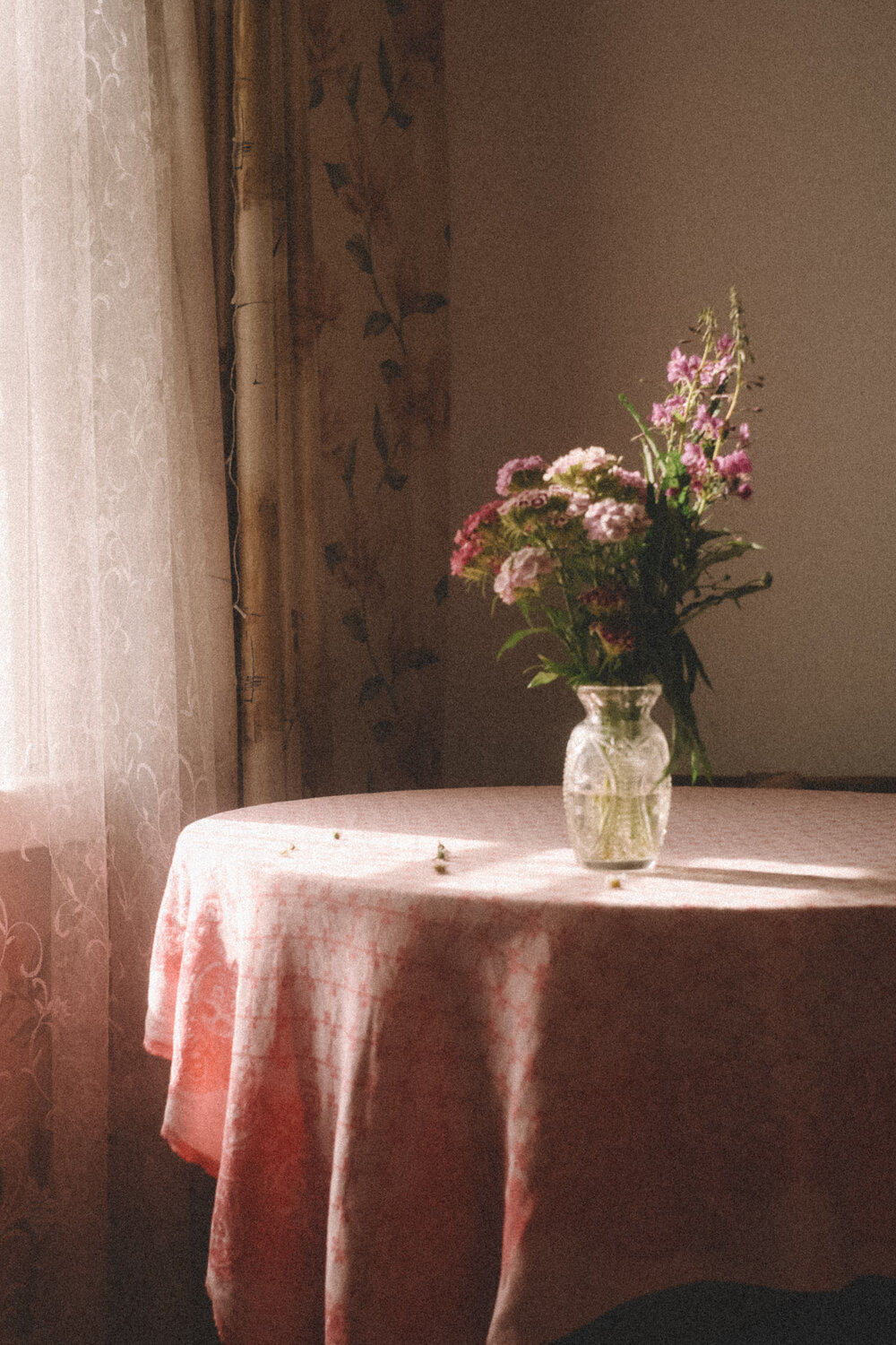 Photo #13865055