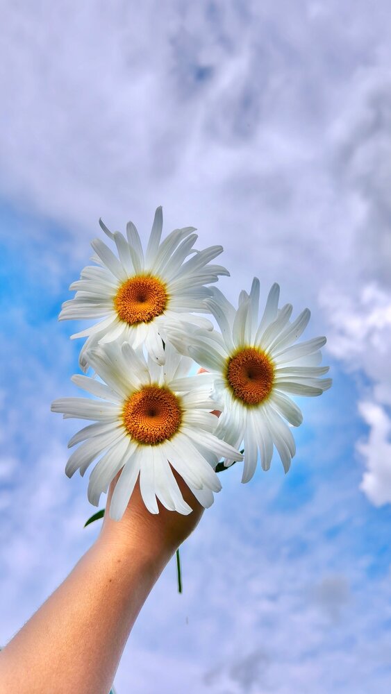 Photograph by Вика Коршунова