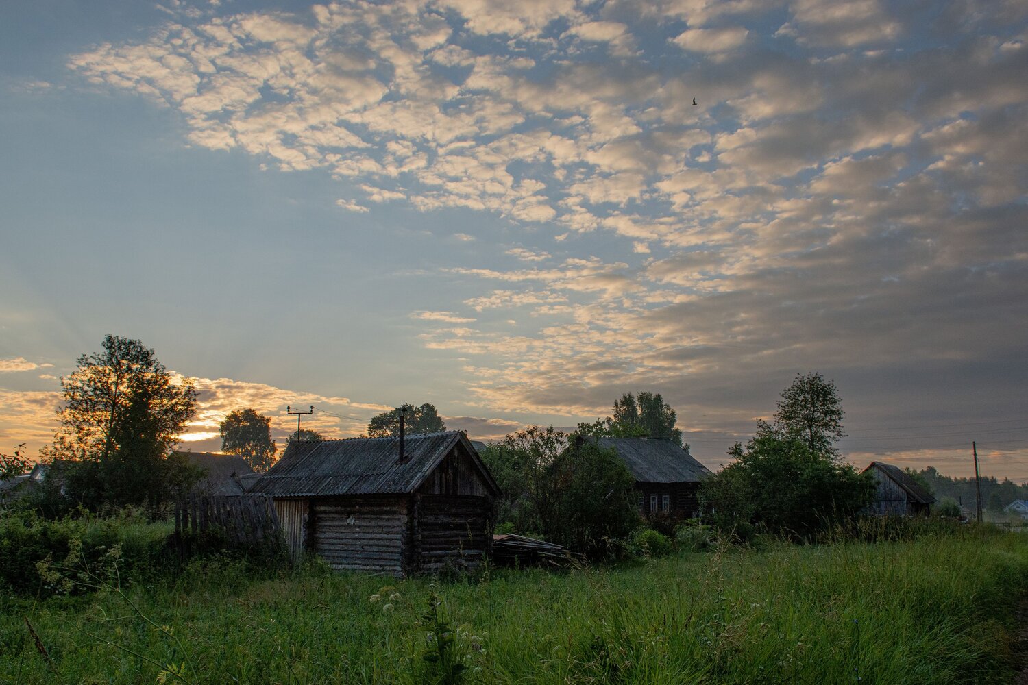 Photo #13865088