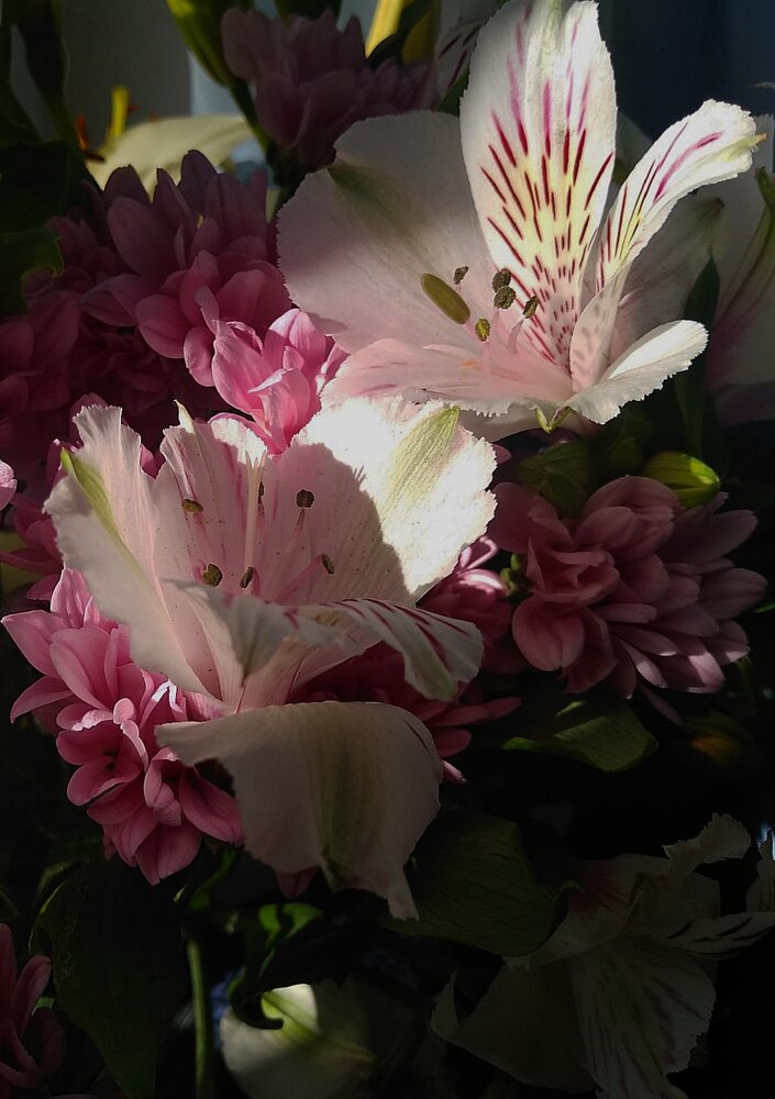 Photograph by Елена Сунцова