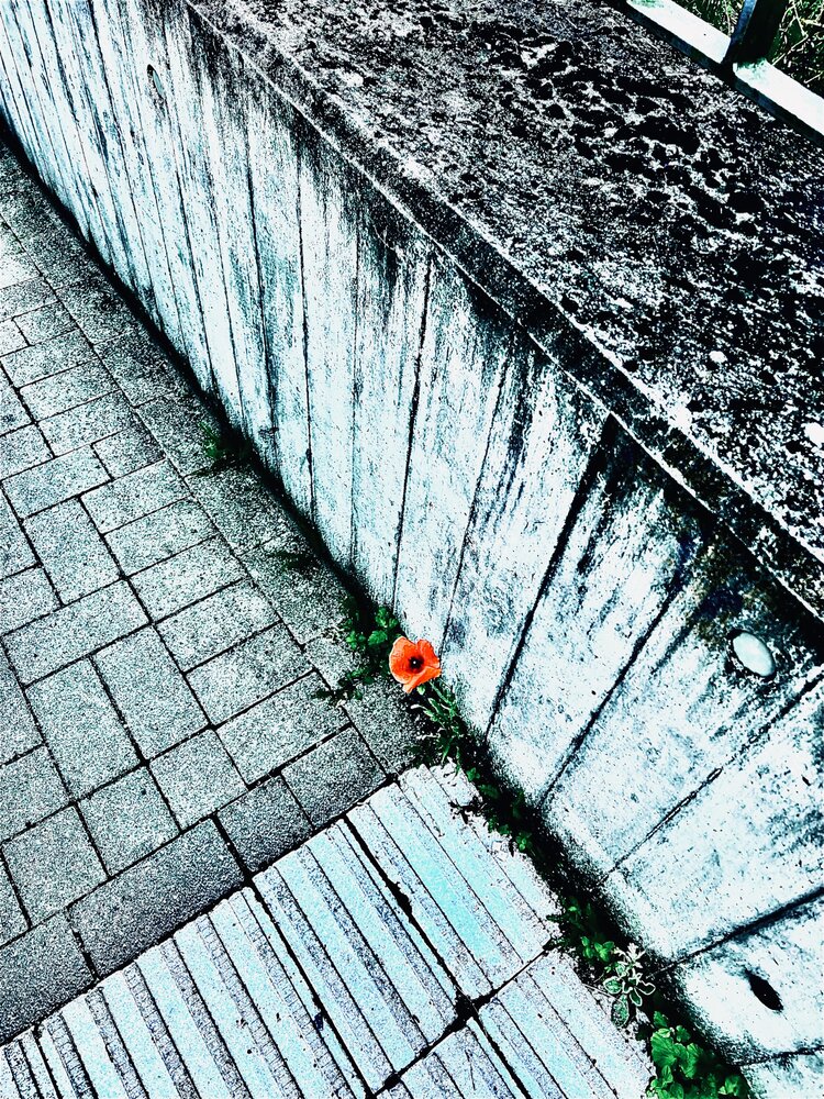 Photograph by Fatima Salimi