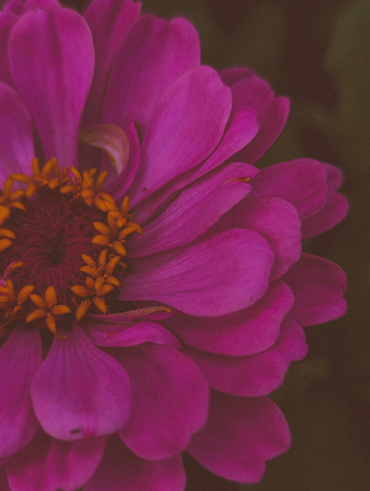 Photograph by Yulia Chupina