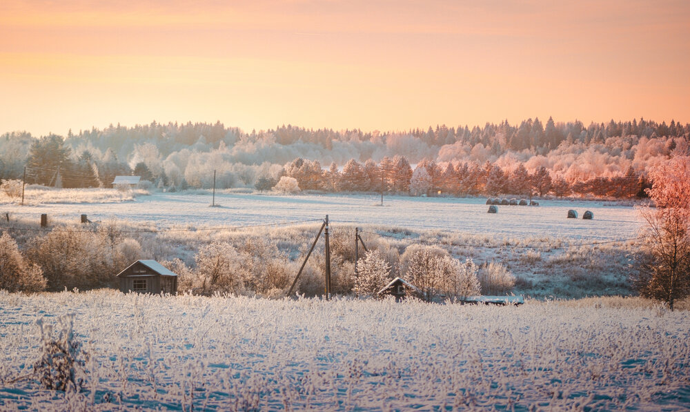 Photograph by Игорь Лузин