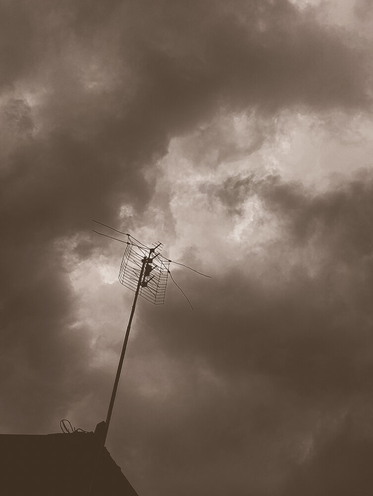 Photograph by Yulia Chupina