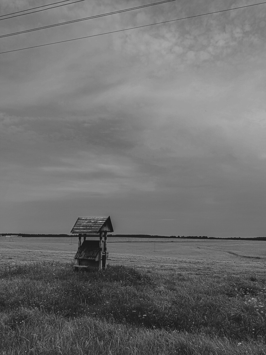 Photo #13865246