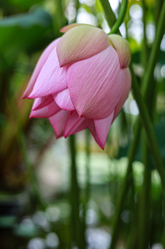 Photograph by Ирина Борисова