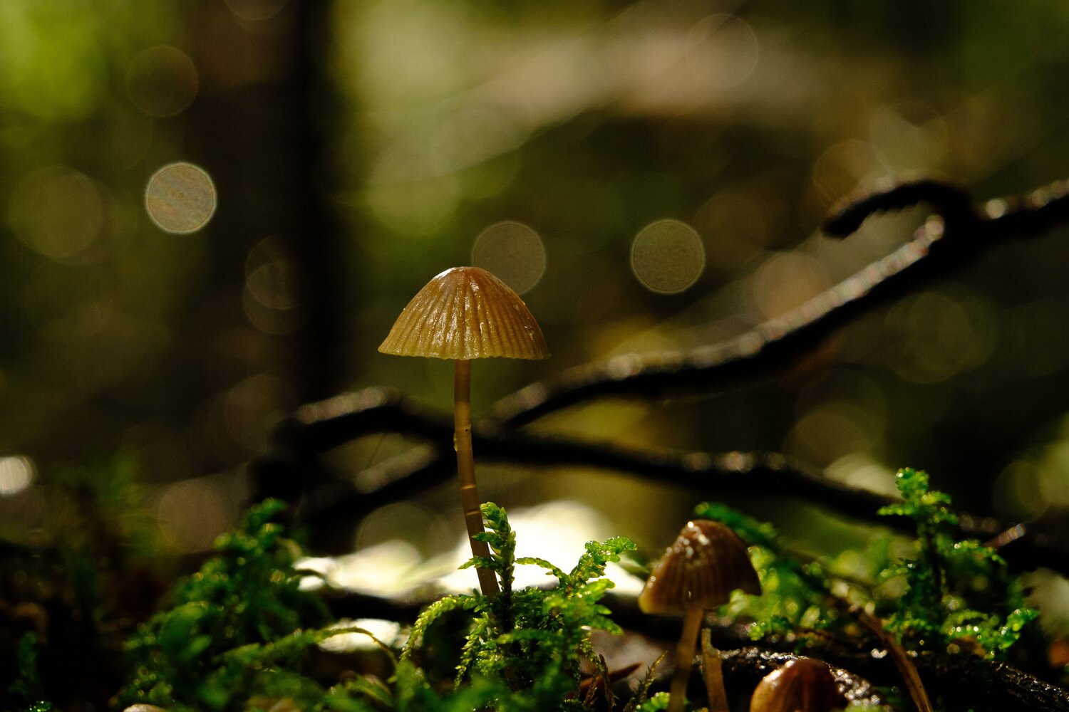 Photo #13865330