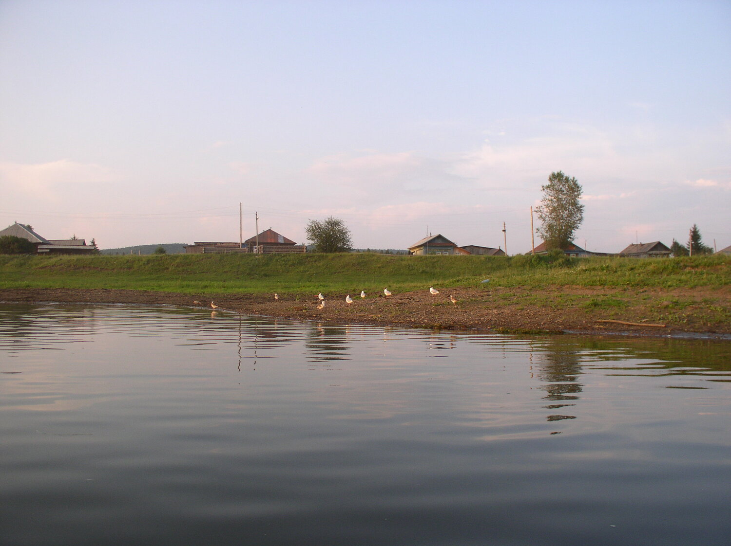 Photo #13865412