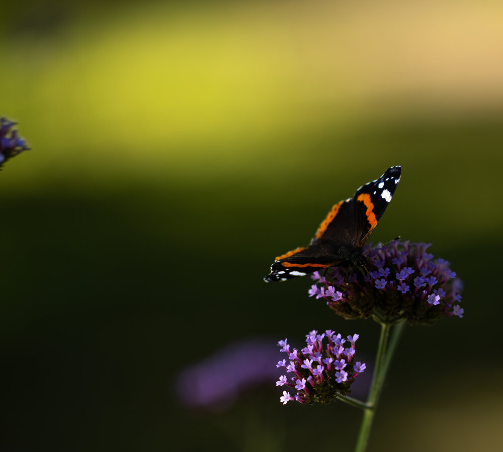 Photograph by Святослав Бондарук