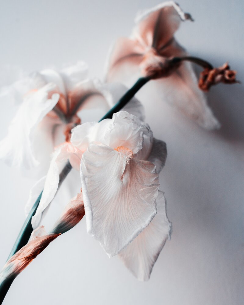 Photograph by Татьяна Светличная