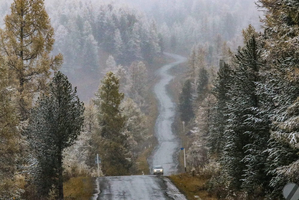 Photograph by Елена Данченко