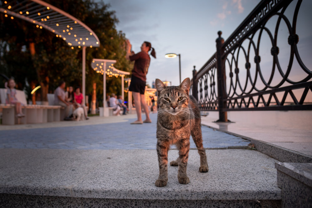 Photograph by Наталья Темная