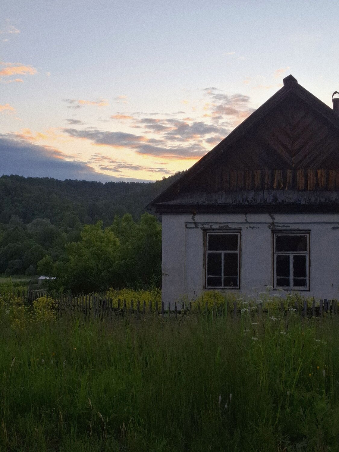 Photo #13865522