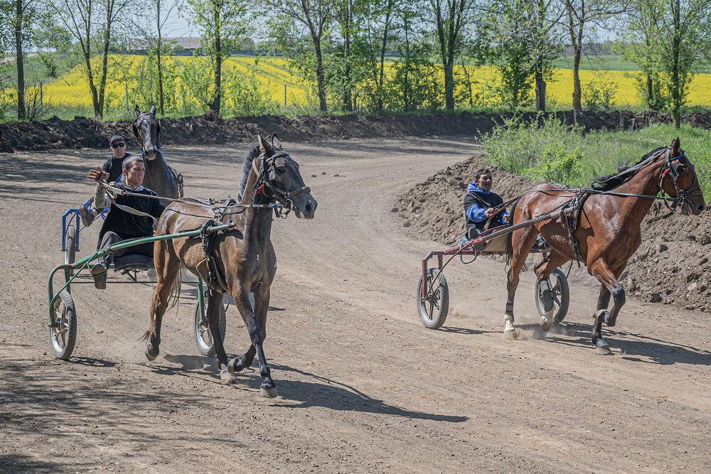 Photograph by Григорий Братусь