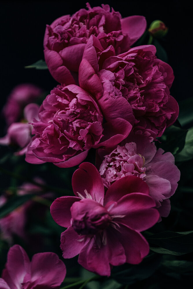 Photograph by Остапенко Алина