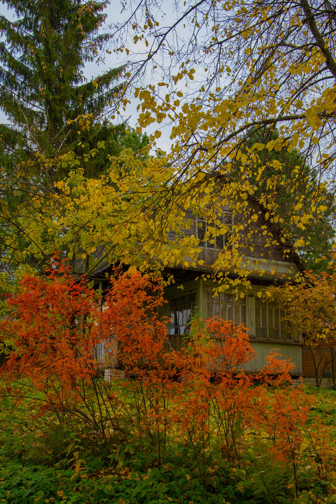 Photograph by Нина Малютина
