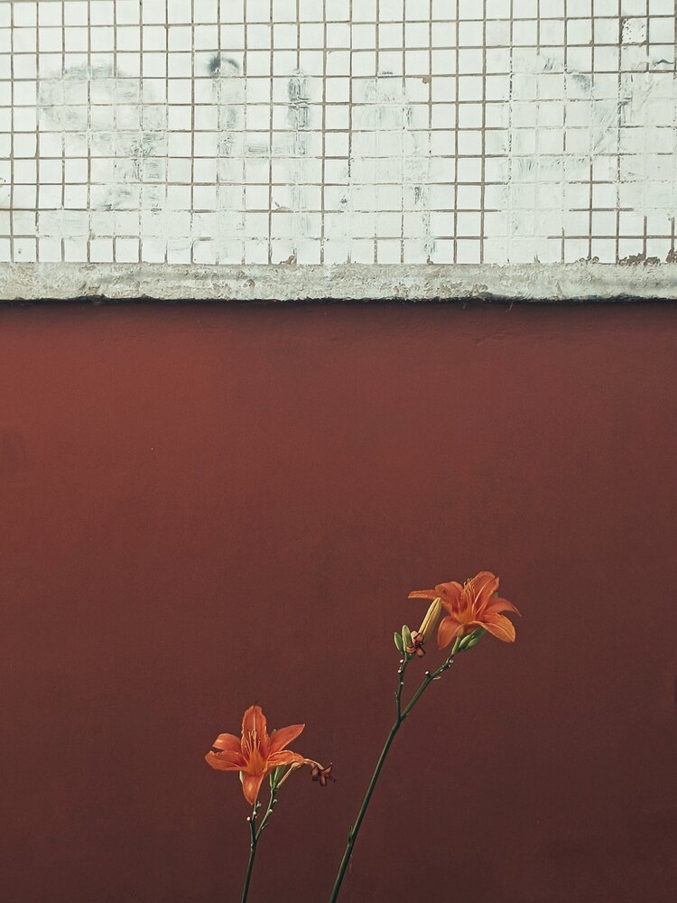 Photograph by Анастасия Чепурнова