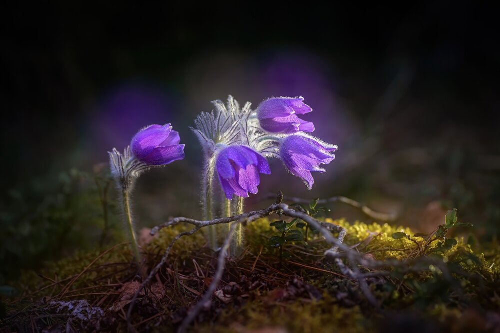 Photograph by Марина Мурашова