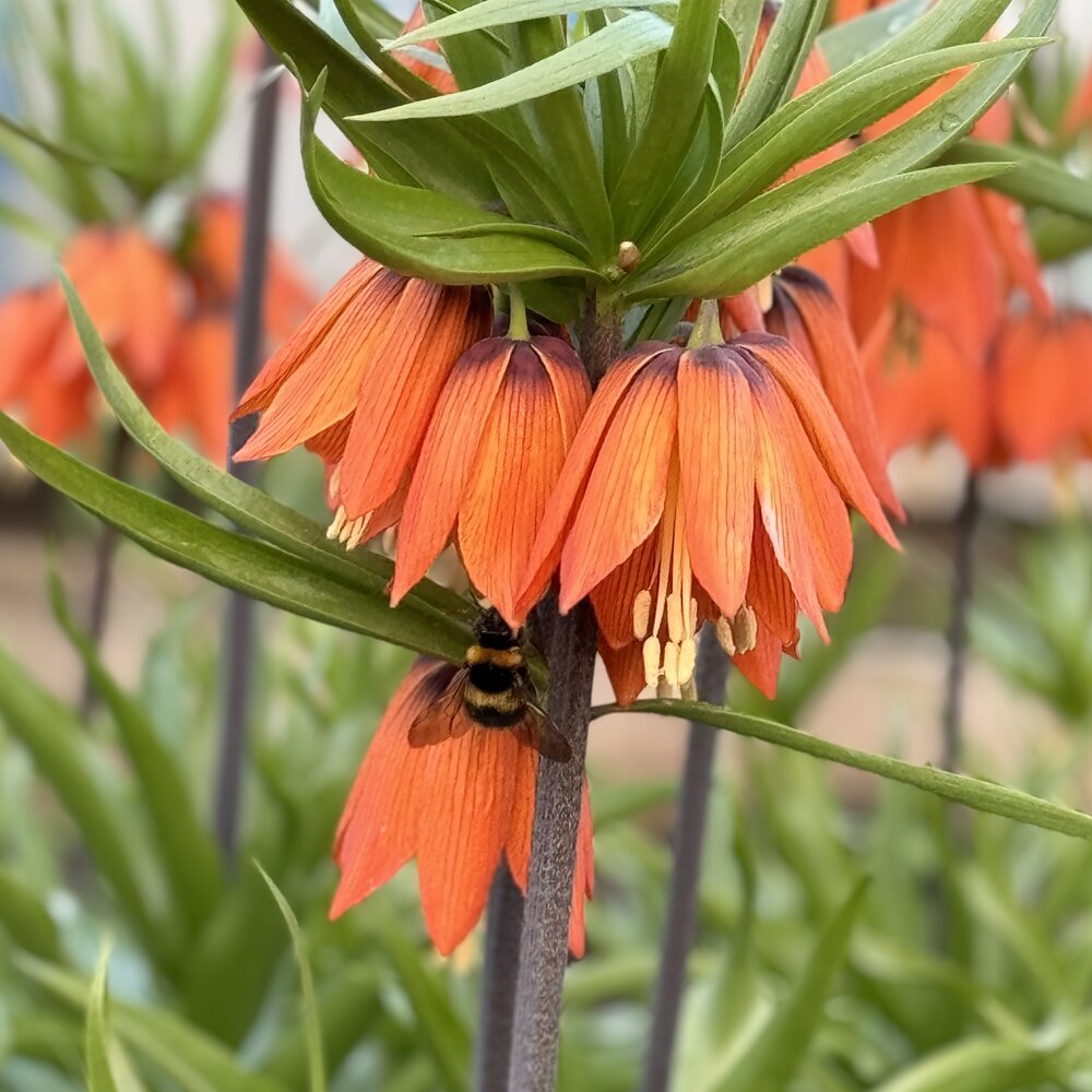 Фотография автора Дарья Самойленко