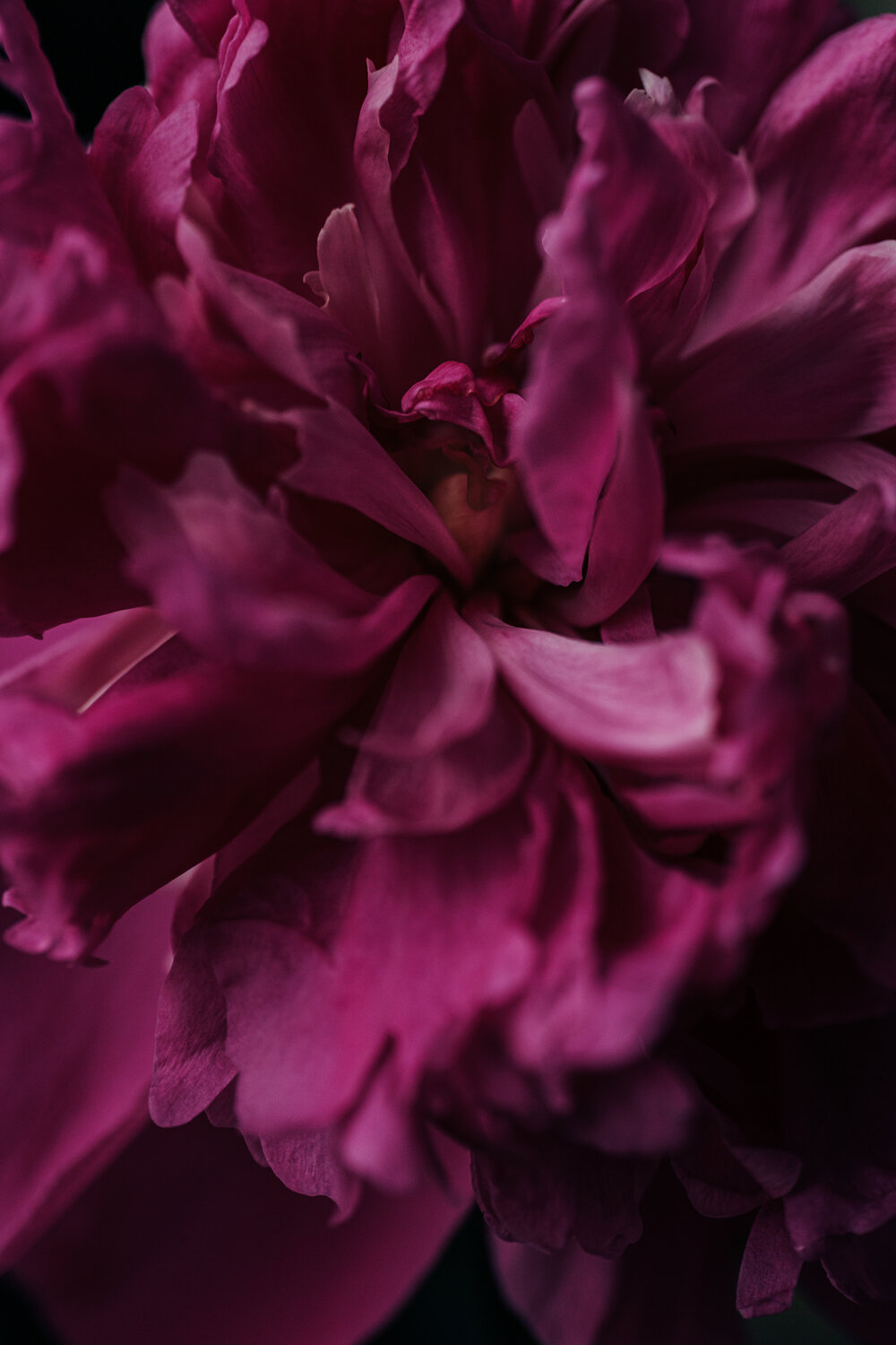 Photo #13865657