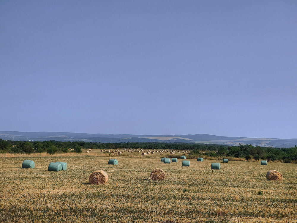 Banovo Fields