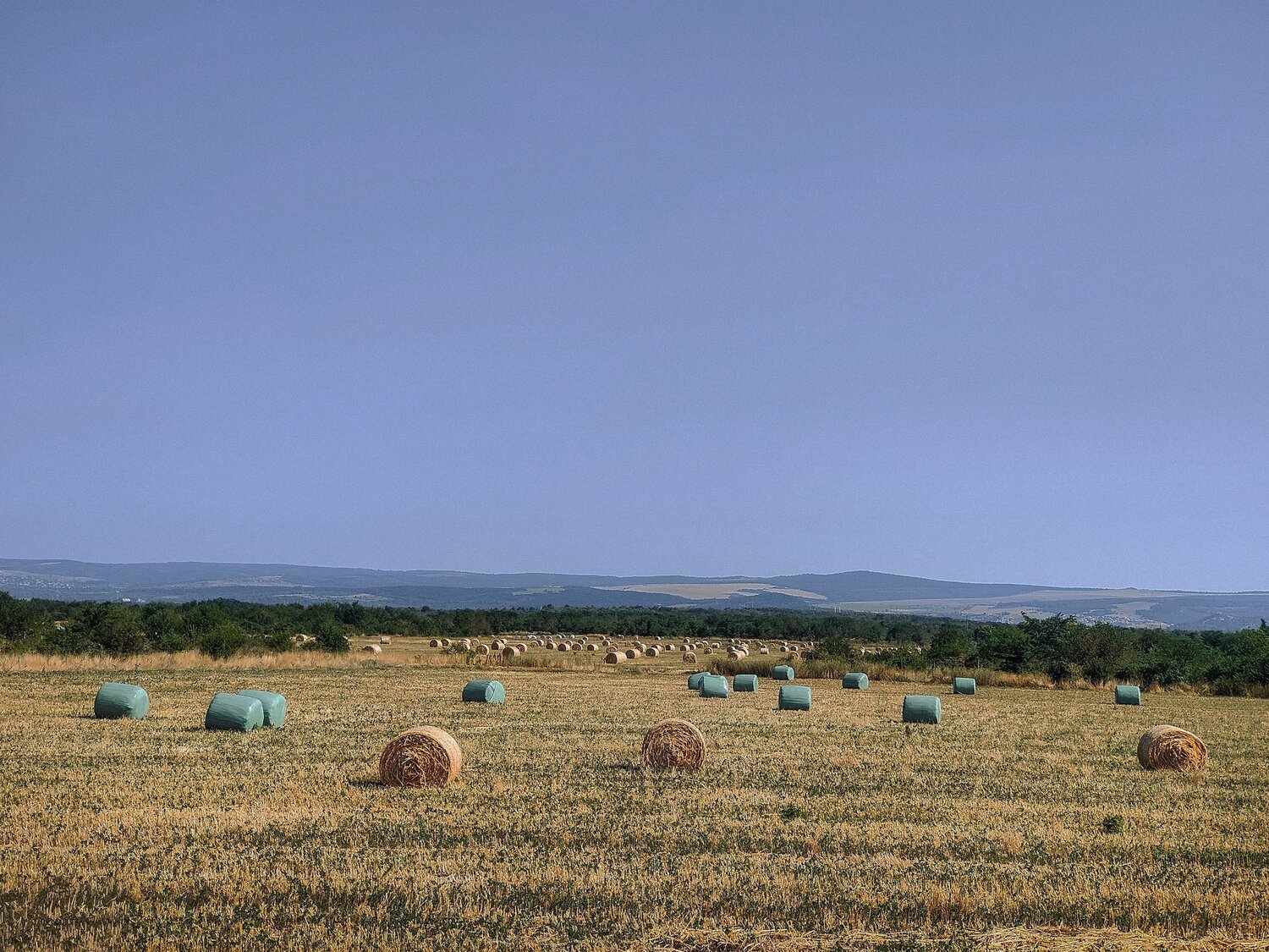 Banovo Fields