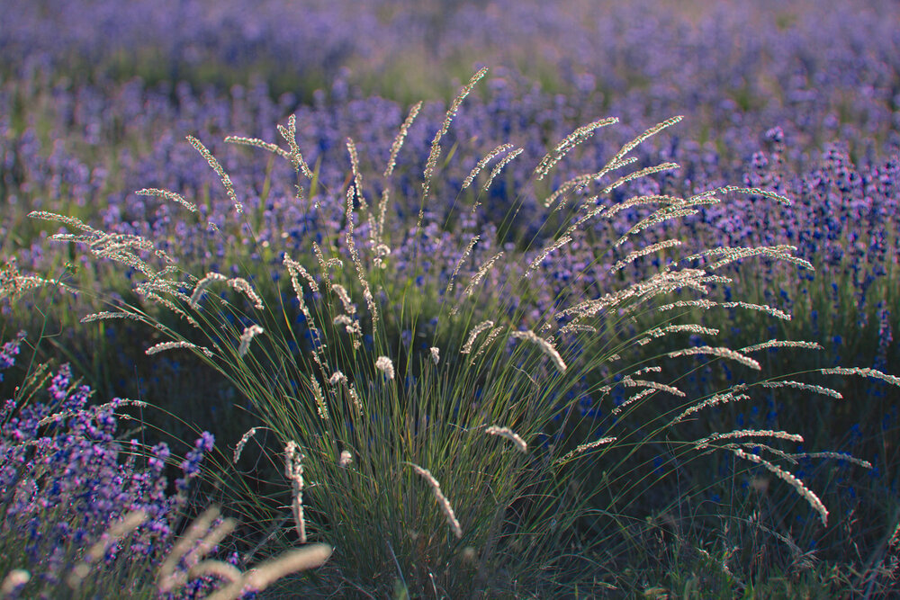 Photograph by Гусаченко Андрей