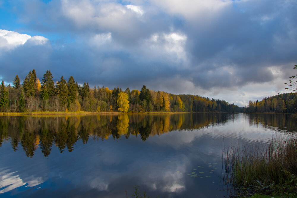 Photograph by Нина Малютина