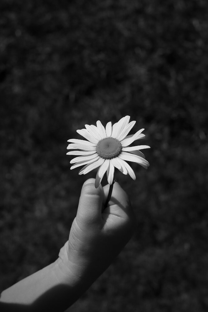 Photograph by Мария Толкачёва