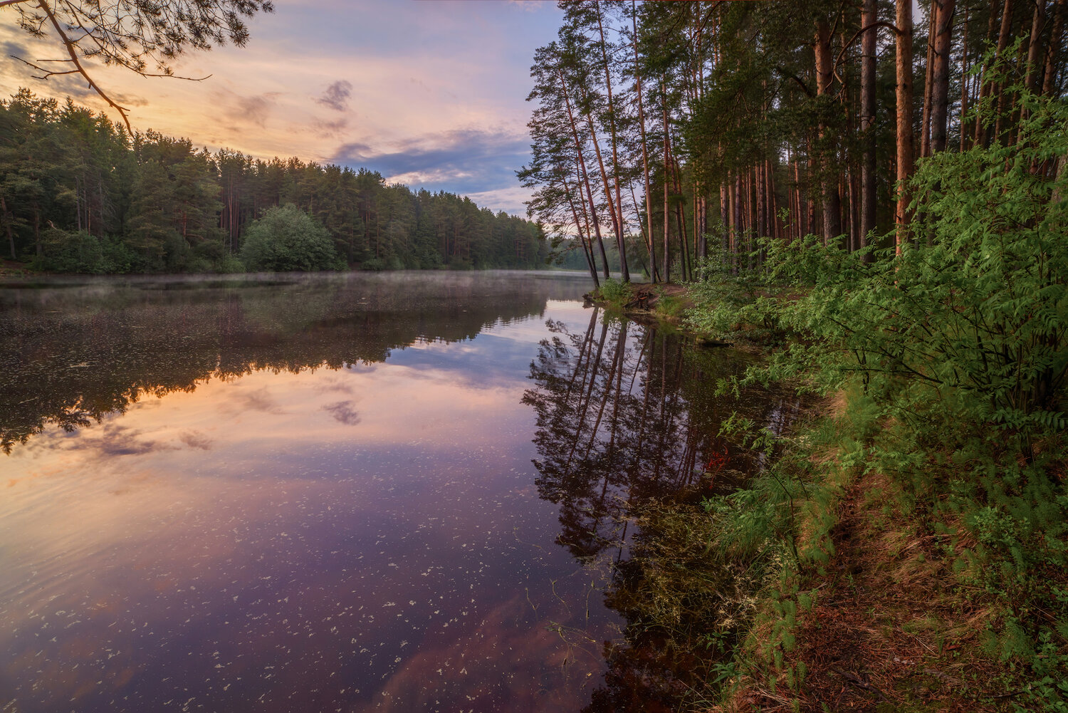 Photo #13865790