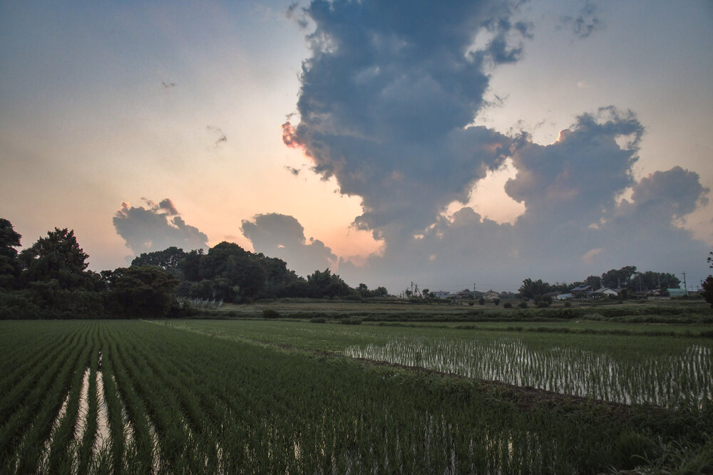 Photograph by Iwamoto Reina