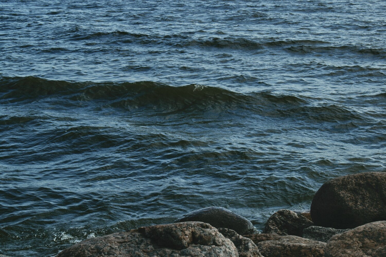 Gulf of Finland