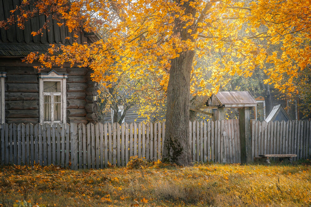 Photograph by Роман Филиповец