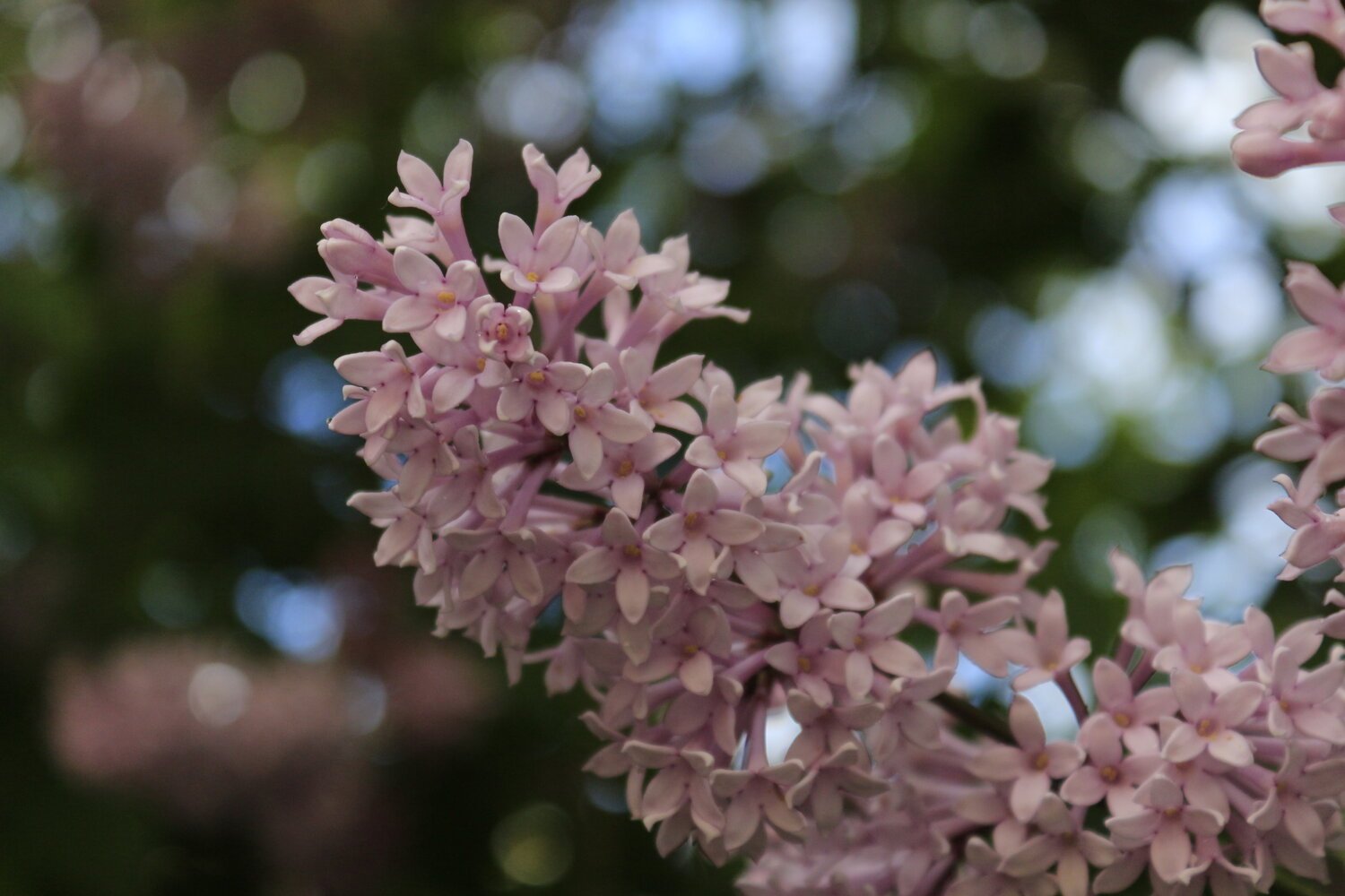 Photo #13865844