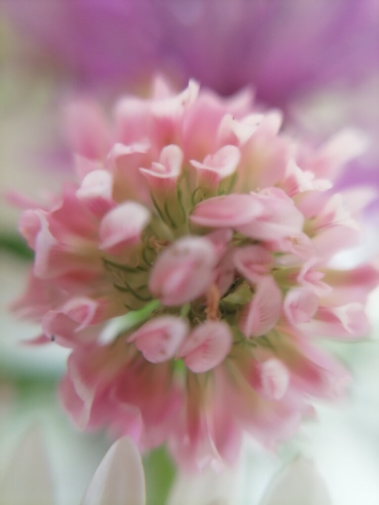 Photograph by Юлия Локалова
