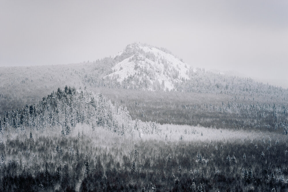 Photograph by Александр Шалагин