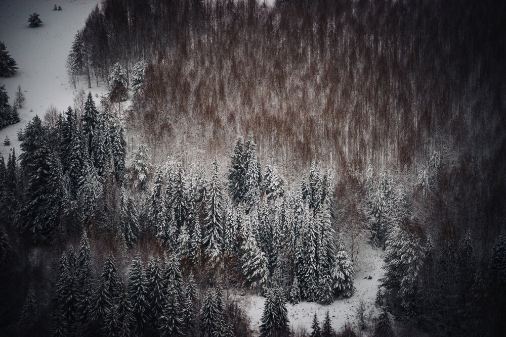 Photograph by Александр Шалагин
